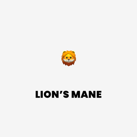 Lions mane: Houba podporující zdraví mozku