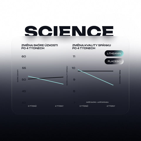 Complex Natural L-Theanine